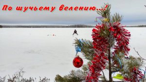 ПО ЩУЧЬЕМУ ВЕЛЕНИЮ...!