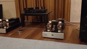 Wilson Audio Watt/Puppy 7 driven by Cary Audio SLP98 and CAD-211 M Anniversary Edition
