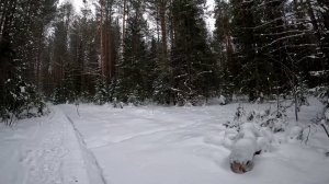 Зимняя рыбалка. Река Вагран.#4