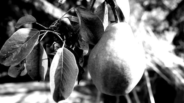 Мой дьявол — время, текущее внутри меня. смотреть онлайн