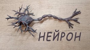 Делаем нейрон своими руками