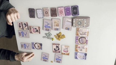 Настольная игра Питомник шиншилл: правила игры, обзор