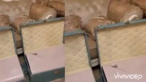 Оформление чемоданов 6т‼️‼️