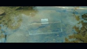 Priceless Tanago Heritage - Tanago / Micro Fishing Trip