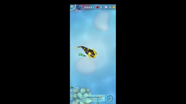 Zen Koi 2|Mobile Games