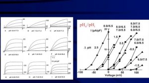 A snail proton channel with anomalous properties - Thomas et al.