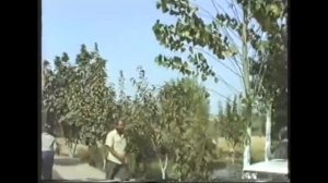 ШОБЕРДИ БАХШИ