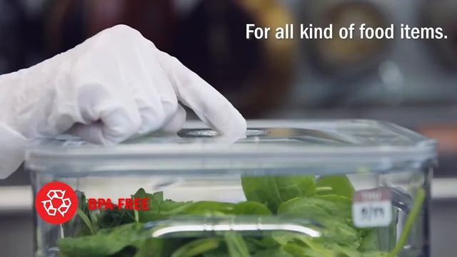 Професионална система Status Gastro вакуумен контейнер и мощна електрическа помпа за вакуум смотреть онлайн