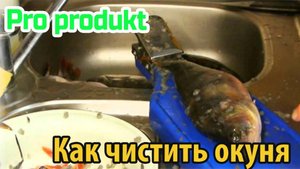 Как чистить окуня
