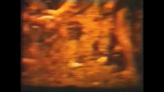 Могикане и турист. смотреть онлайн