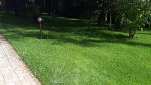 Автополив газона с помощью MP Rotator