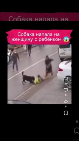 Собака напала на женщину с ребёнком, но им помогли прохожие и все закончилось благополучно.