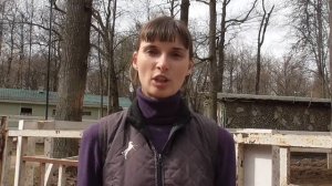 Профессия тренер по верховой езде. Тренер по конному спорту