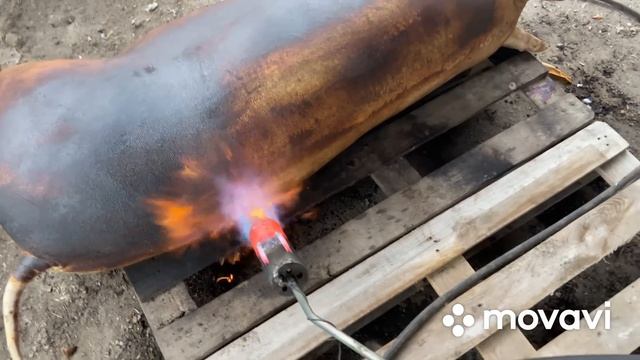 Турбо Горілка Від КУМА!!! Смалить як в Пеклі!!! Тепер все проходить в половину швидше! смотреть онлайн
