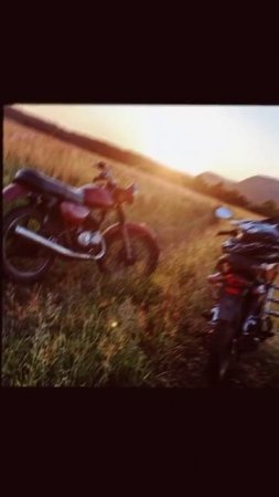Lertis_moto Shorts video
