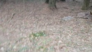 25.01.2025.Обзор с места свалок в Ляховском лесу. Река Востец.Тюбинговая трасса Домодедово. Часть 3