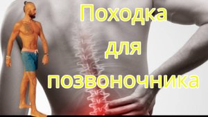 Походка для поясницы