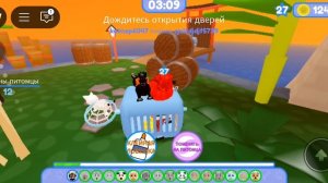 побег питомца