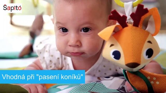 Hrací deka s hrazdou Gymini Into the Forest смотреть онлайн