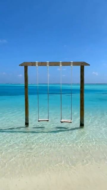swing on the beach....#shorts #beachvibes #sunflowerremix