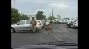 Коза Террорист (Goat Terror)