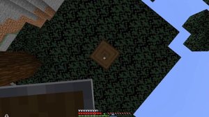 VID_20250125_191627_586