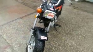 Honda Nauty Dax for sale