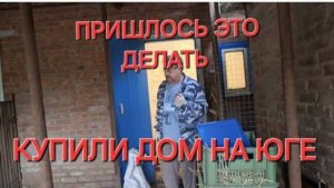 102//Купили дом на юге. Никогда это не делали.Теперь пришлось.Что с цыплёнком.