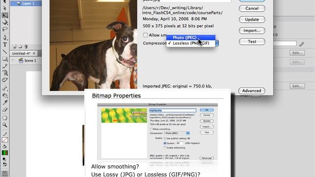 Working with Bitmaps in Adobe Flash CS4