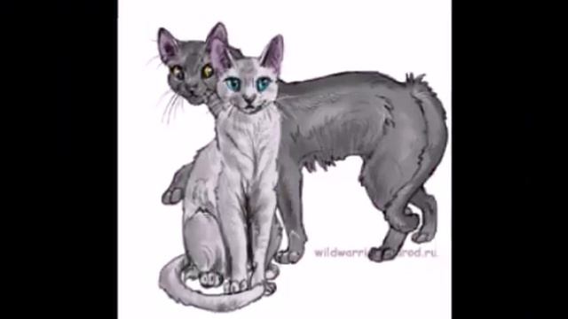 Коты-Воители: "Крутобок и Серебрянка"