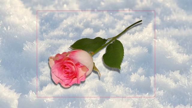 Урок 73 - эффект "оживления" части фото. смотреть онлайн