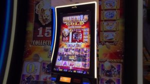 15 HEAD BUFALOOOOO .60 cent bet JACKPOT 🔥🔥🔥