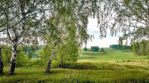 Российские просторы