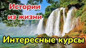 История из жизни. Интересные курсы. Аудио рассказы