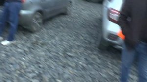 Декоративные птицы и животные на ярмарке в Аксае. Часть 3. Николаеские голуби.