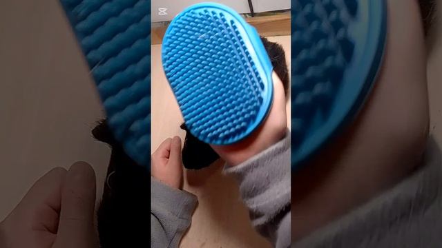 я спалила лицо абдулая и показала какие у меня есть животные смотреть онлайн