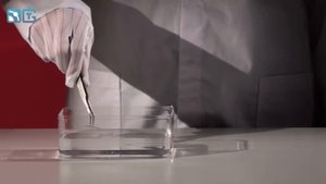 Иголки на воде   физические опыты 1080p