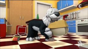 💗Boule et Bill - La fête à la maison💗 "Dessin Animé en Français"