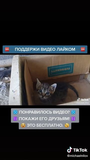 e2cab80deffa09fbb44c8e2d41be43cb_1737736350450.mp4