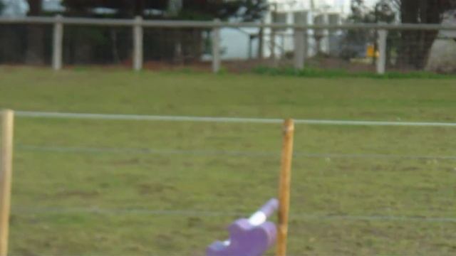 Millie and me jumping a double ! xx смотреть онлайн