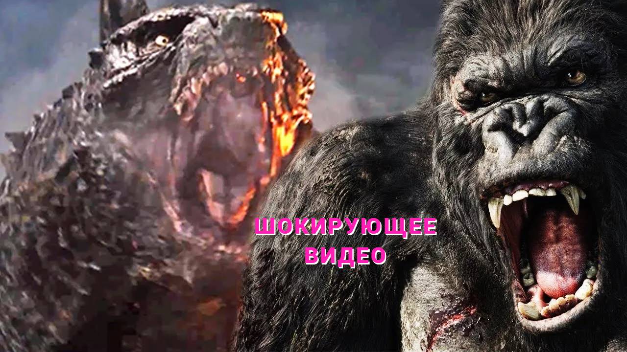 Кин-Конг и Годзилла противостояние ( Новая Империя ) 2024 смотреть онлайн