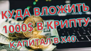 Куда вложить 1000 долларов в криптовалюте, ЛУЧШАЯ СТРАТЕГИЯ