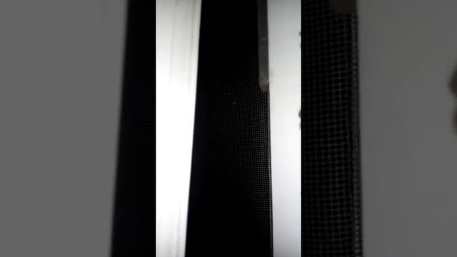 Город Херсон 11.02.19 05:30 утра. Странные звуки за окном. смотреть онлайн