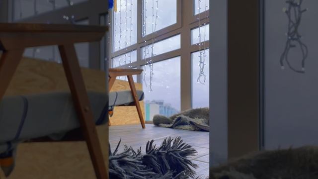 #щенки #щенкилабрадор #лабрадор 35 дней