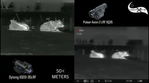 Sytong XS03-35 LRF Thermal Scope Compared With Pulsar Axion 2 LRF XQ35 #thermalscope #thermalhuntin