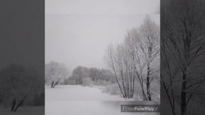 Отрадный день,душа ликует!