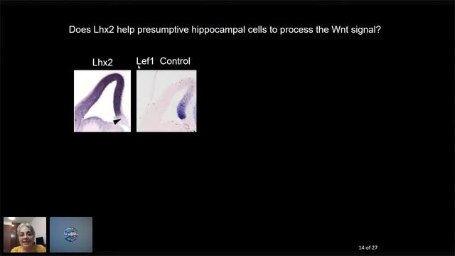 Shubha Tole's #WWNDev Forum on Dec 3rd 2020 смотреть онлайн