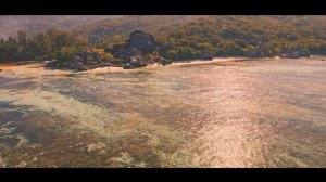 Fabio Nita - Iubeste-ma | Official Video