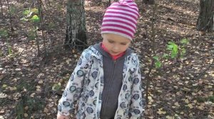 у маленькой сосёнки есть мама и папа