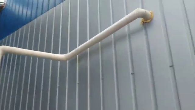 Фармацевтична компанія. Холодильна камера.